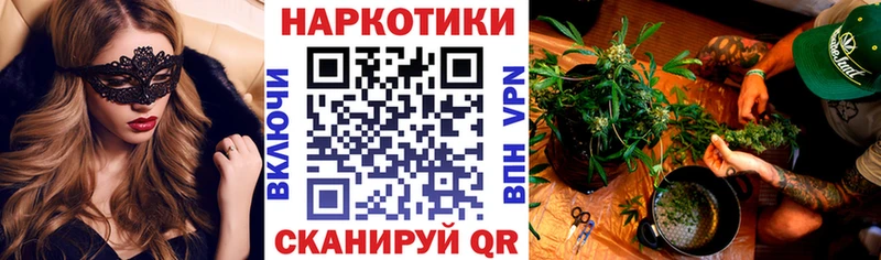 Где можно купить наркотики Снежногорск ЭКСТАЗИ  Гашиш  Бошки Шишки  APVP  Псилоцибиновые грибы 