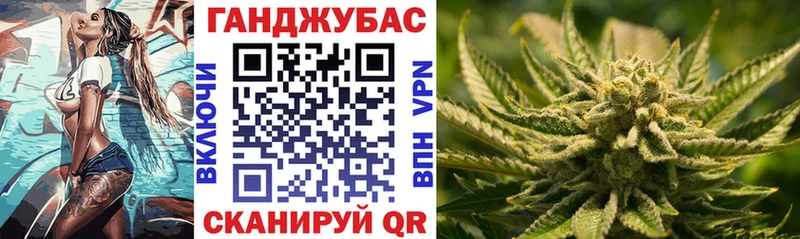где купить наркоту  Снежногорск  Марихуана семена 